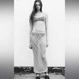 Zara mesh metallic silver skirt NWT SIZE Large stretchy see through gorgeous!